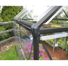 Detailansicht eines Gewächshauses mit Rahmen und Fenstern