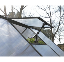 Detailansicht eines Gewächshauses mit geöffnetem Fenster und Pflanzen