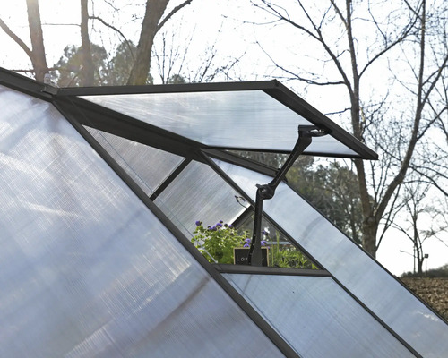 Detailansicht eines Gewächshauses mit geöffnetem Fenster und Pflanzen