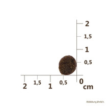 Katzenfutter trocken Carnilove Cat Kitten 400g