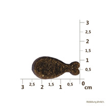Katzenfutterstück in Fischform mit Größenangabe in Zentimetern