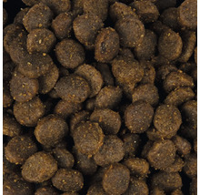 Hundefutter Trockenfutter Detailansicht