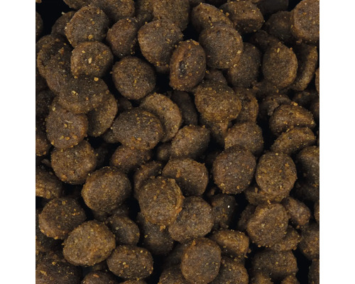 Hundefutter Trockenfutter Detailansicht