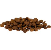 Haufen Trockenfutter für Hunde