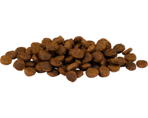 Haufen Trockenfutter für Hunde