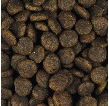 Nahaufnahme von Trockenfutter für Haustiere