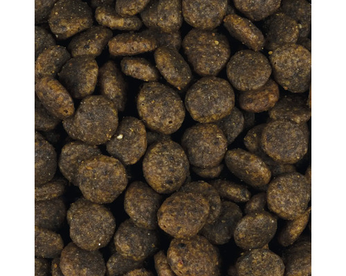 Nahaufnahme von Trockenfutter für Haustiere