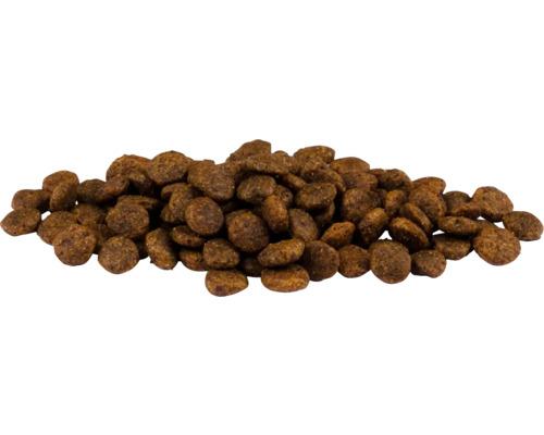 Haufen Trockenfutter für Hunde