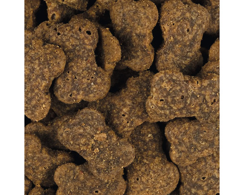 Hundefutter in Knochenform, Nahaufnahme
