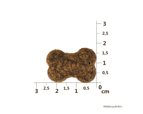 Hundefutter-Keks in Knochenform mit Größenangabe in Zentimetern