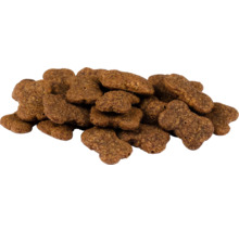 Knochenförmiges Hundefutter