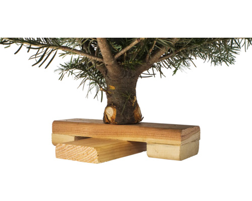 Kleiner Tannenbaum auf einem Holzständer