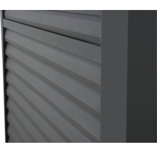 Lamellenwand Mirador Classic, Deluxe Plus 400 123 x 235 cm anthrazit