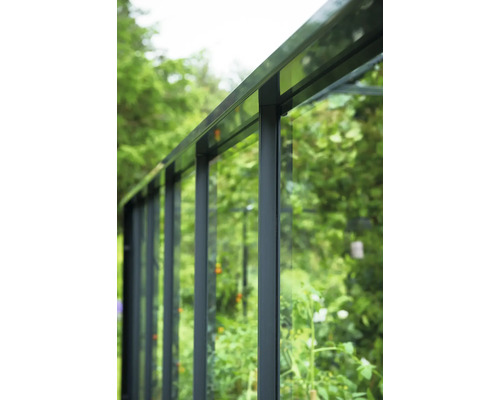 Detailansicht eines Gewächshauses mit Glas und Metallrahmen.