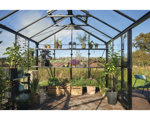 Gewächshaus mit Pflanzen in Töpfen und Kisten auf Regalen und dem Boden.