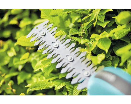 Heckenschere beim Schneiden einer Hecke