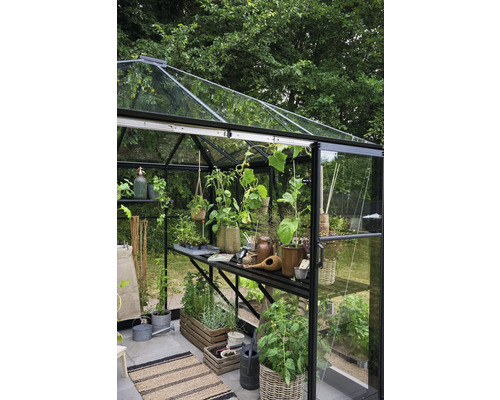 Gewächshaus mit Pflanzen und Regalen für den Garten