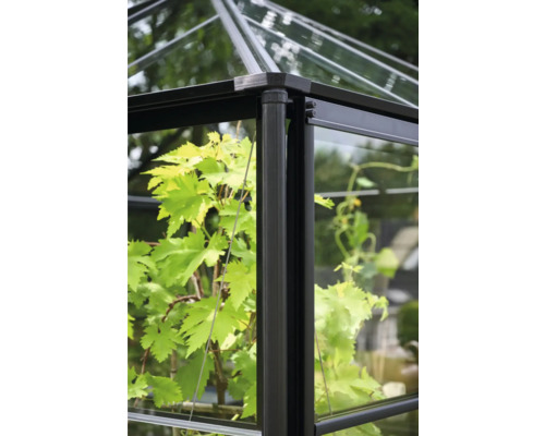 Detailansicht eines Gewächshauses mit Glaselementen und Metallrahmen