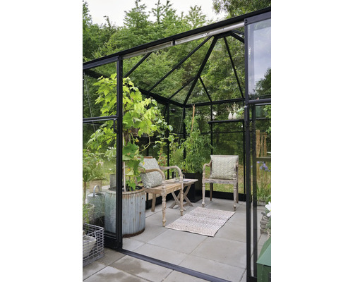 Gewächshaus mit Pflanzen, Stühlen und einem Teppich