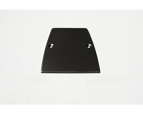 Abdeckplatte mit zwei Bohrlöchern