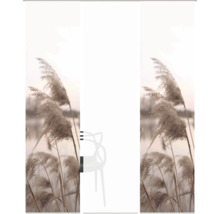 Sitzgelegenheit vor Schilflandschaft