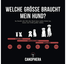 Welche Größe braucht mein Hund? Größentabelle für Hundebedarf mit verschiedenen Hunderassen und Größenangaben.