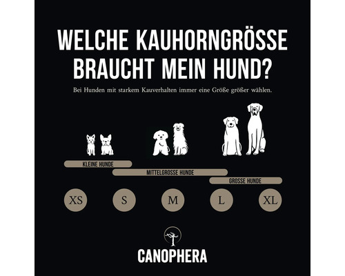 Welche Kauhorngröße braucht mein Hund? Größenratgeber für Kauhörner mit den Hundegrößen klein, mittel und groß.