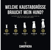 Hundespielzeug CANOPHERA Hundekaustab Olivenholz XS 180 x 22 mm braun Stressabbau, Zahnpflege, Beschäftigung