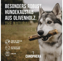 Hundespielzeug CANOPHERA Hundekaustab Olivenholz XS 180 x 22 mm braun Stressabbau, Zahnpflege, Beschäftigung