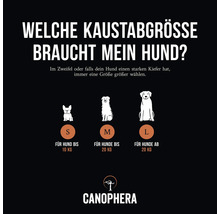 Information zur Auswahl der richtigen Kaustabgröße für Hunde nach Gewicht