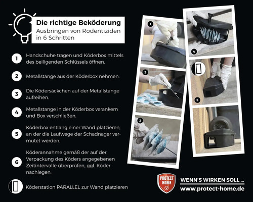 Anleitung zur richtigen Ausbringung von Rodentiziden in sechs Schritten.
