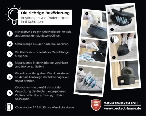 Anleitung zur korrekten Ausbringung von Ködern in sechs Schritten