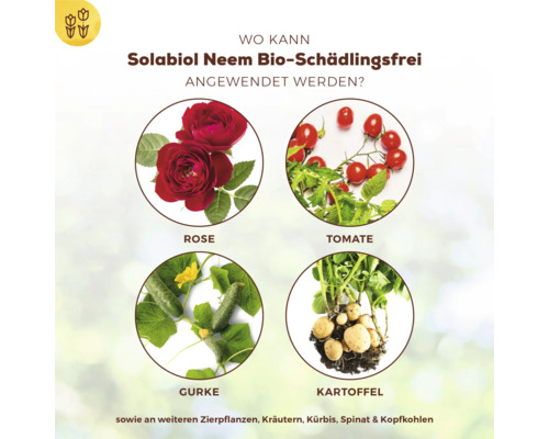 Anwendungsbereiche von Solabiol Neem Bio-Schädlingsfrei: Rose, Tomate, Gurke und Kartoffel