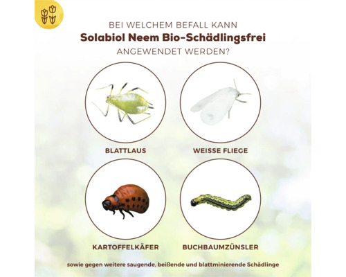 Solabiol Neem Bio Schädlingsfrei Anwendungsbereich: Blattlaus, Weiße Fliege, Kartoffelkäfer und Buchbaumzünsler