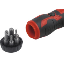 Schraubendreher mit Bit-Set