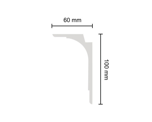 Profilleiste mit Maßangaben: 60 mm breit und 100 mm hoch