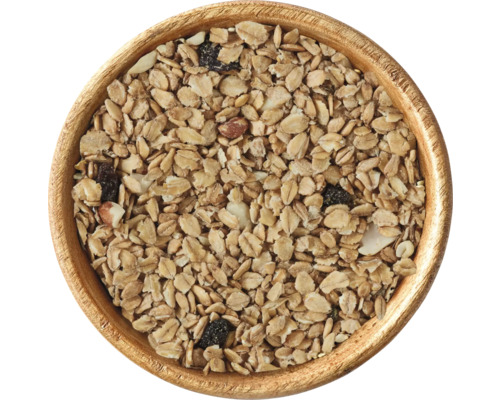 Müsli mit Haferflocken und Trockenfrüchten in einer Holzschale