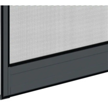 Insektenschutz Alu-Tür anthrazit 100x210 cm