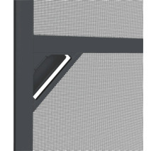 Insektenschutz Alu-Tür anthrazit 100x210 cm