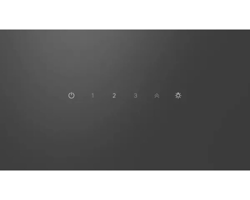 Bedienfeld mit Ein- und Ausschalter, drei Geschwindigkeitsstufen, Pfeil nach oben und Lichtsymbol