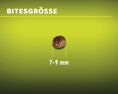 Größe des Hundefutterstücks beträgt 7 bis 9 Millimeter