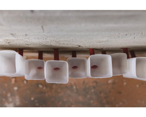 Mehrere Kunststoff-Lüftungsventile an der Decke befestigt.