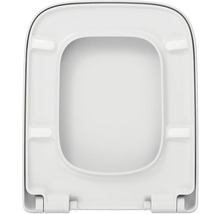 Toilettendeckel aus Kunststoff