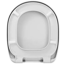 Toilettendeckel aus Kunststoff