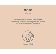 Farbe Freude Altrosa mit Symbol Element Feuer