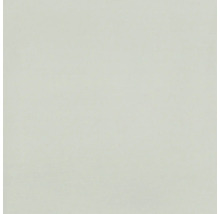 Akustikpaneel foliert ähnlich RAL7035 2400 x 572 x 19 mm
