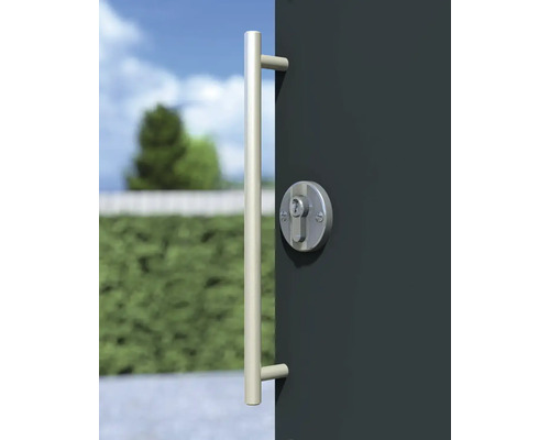 Tür mit Stangengriff und Schloss