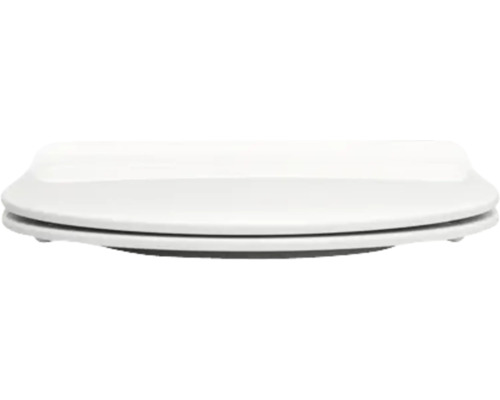 Toilettendeckel aus Sanitärkeramik