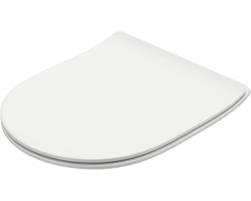 Toilettendeckel aus Kunststoff