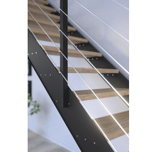 Pertura Wangentreppe Libra Eiche ohne Setzstufen Pulverbeschichtet Seitenwange Schwarz gerade 105 cm 16 Stufen / 17 Steigungen Stabgeländer
